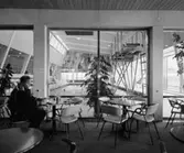 Simhall, Kiruna
Servering
Interiör