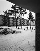 Bostadsområde
Exteriör, gårdsinteriör med höga tallar och snö.