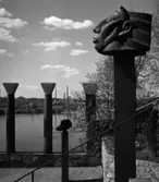 Millesgården
Miljöbild, skulpturparken, Nedre terrassen