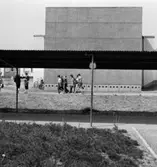 Ljuraskolan
Exteriör, aulan och bespisningen sedda från småskolan