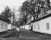 Uppländsk bruksmiljö
Exteriör, bruksgata med cyklist