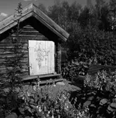 Trädgårdsanläggning
Exteriör, grönskande trädgård med timmerstuga