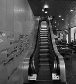 ICA - Restaurang
Interiör, rulltrappa vid dekorativt smyckad vägg med fiskmotiv