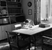 Villa
Interiör, liten flicka vid bord framför bokhylla