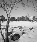 Bostadsområde
Exteriör, nästan färdiga flerbostadshus i fonden med tallar. Snötäckt fält och liten björk vid stenröse i förgrunden.