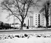 Strömbackens ålderdomshem
Exteriör, två punkthus om åtta våningar i vinterlandskap. Stort träd i mitten av bilden.