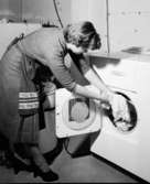 Tvättmaskiner, tvättstuga
Interiör. Tvättstuga i Stureby, tvättande kvinna.