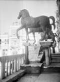 Hästarna på Markuskyrkan i Venedig.
Resebilder från Italien