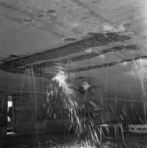 Prins Carl bottenskada