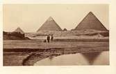 Egypten. Pyramiderna i Giza