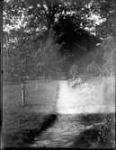 Sommarbild: Trädgårdsgången till skolan 1941. (Försök m. klappkamera 9x12)
