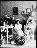 Chalmersgatan. Viola med studentblommor.