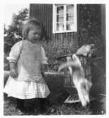 Birgit och kattungarna. Fotograferad av Olof Österling.