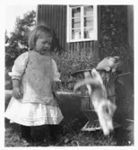 Birgit och kattungarna. Fotograferad av Olof Österling.