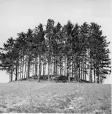 Bolstad. Kårebyhögen