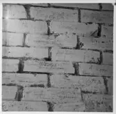 Gräfsnäs slottsruin