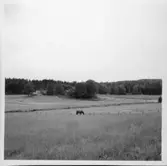 Färgelanda, Jordbruksområde.