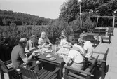 Personer som äter på Torrekulla turiststation i Kållered, år 1984.
Fotografi taget av Harry Moum, HUM, Mölndals-Posten.