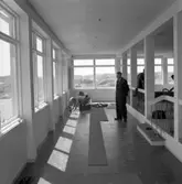 En liten resa på Gullholmen