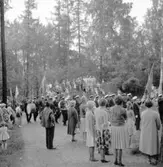 Svenska flaggans dag