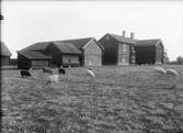 Friluftsmuseet Disagården, Gamla Uppsala sannolikt år 1930