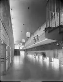 Björkhagens folkskola