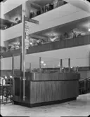 PUB, informationsdisk