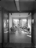 AB Philips, interiör och exteriör