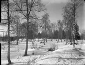 Markområde, Roslags-Länna