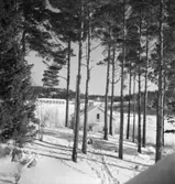Stora Vika, exteriör