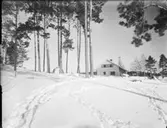 Stora Vika, exteriör