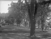 Apoteksträdgården, Vetlanda