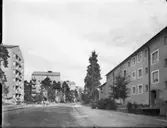 Torsvikshöjden
Exteriör