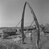 Valebensbacken vid Räkviken