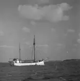 Kuttern HARRY av Grundsund