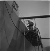 Transportbåt 101
Transportbåt 101 i docka 1, sprutgalvanisering