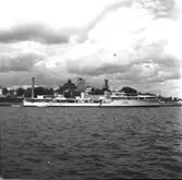 Engelsk jagare, CROSSBOW.