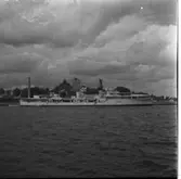 Engelsk jagare
Engelsk jagare