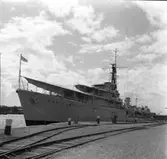 Jagare, engelsk
Engelsk jagare, Crossboard