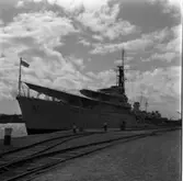 Engelsk jagare
Engelsk jagare