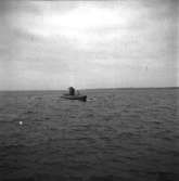 Ubåten Sjöborren
Ubåten Sjöborren till sjöss