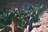 Två kvinnor i ett kaktusfält. I Marocko.