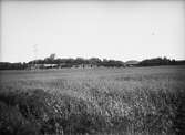 Modeller av friluftsmuseet Disagårdens byggnader utplacerade på plats i Gamla Uppsala år 1928