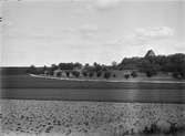 Modeller av friluftsmuseet Disagårdens byggnader utplacerade på plats i Gamla Uppsala år 1928