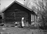 Bärbystugan, nu på friluftsmuseet Disagården, på ursprunglig plats i Bärby, Östervåla socken, Uppland
