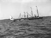 Briggen Falken samt en Ångslup och Kanonbåt