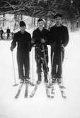 Tre män på skidor vintern 1947.