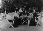 Serveringsdamerna vid kaffestugan på Vämö 1910