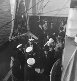 G V och president Svinhuvud