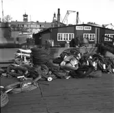 Gladan och Falken
Gladan och Falken, tågvirke